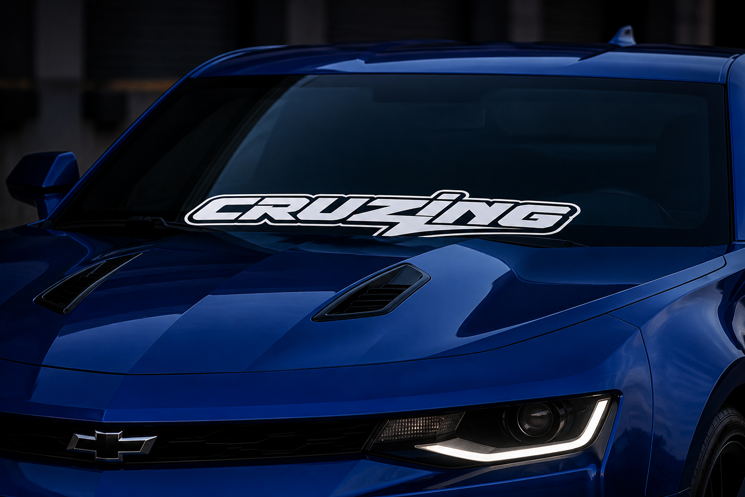 Cruzing Windshield Banner Universal Front